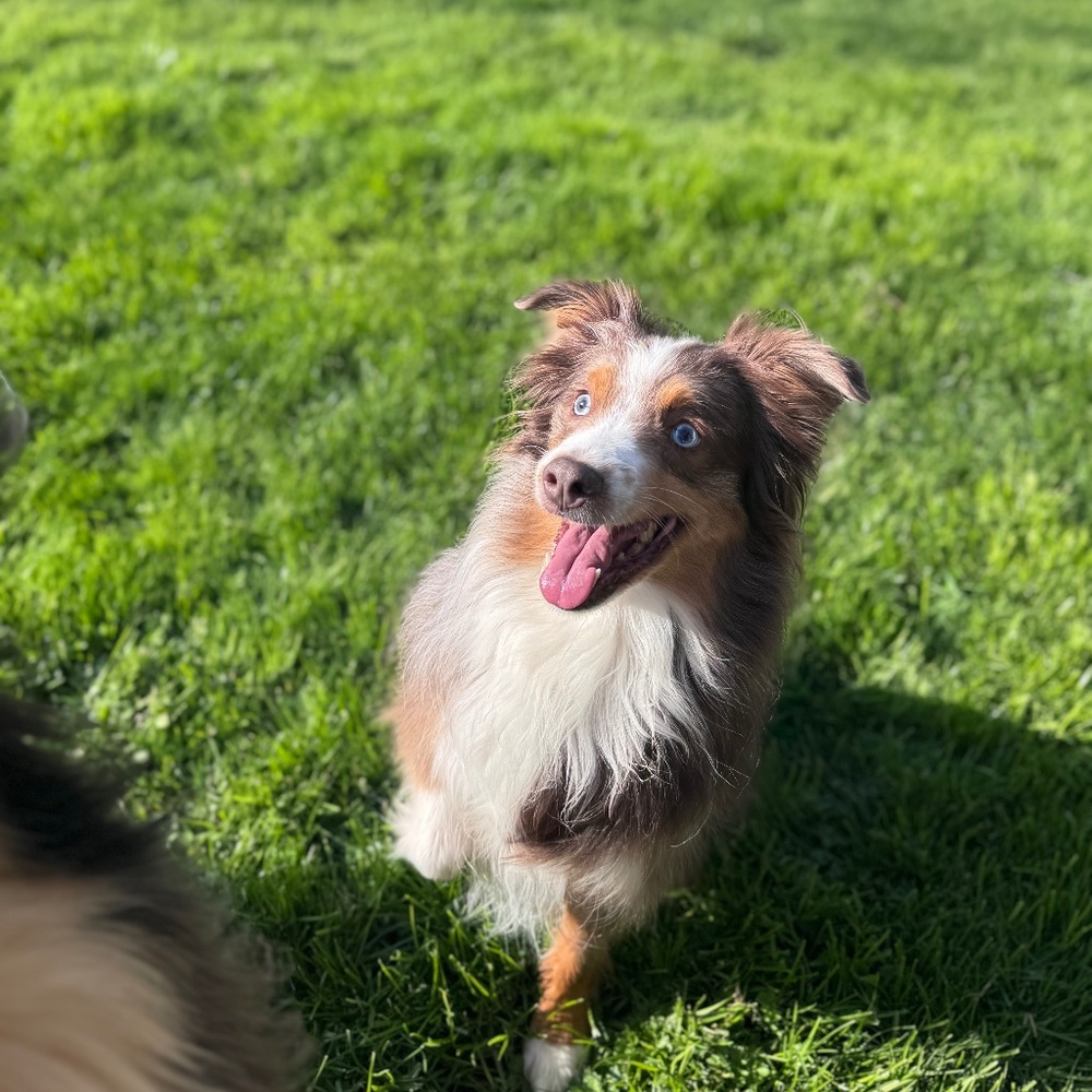 Meet your Posher, Hannah